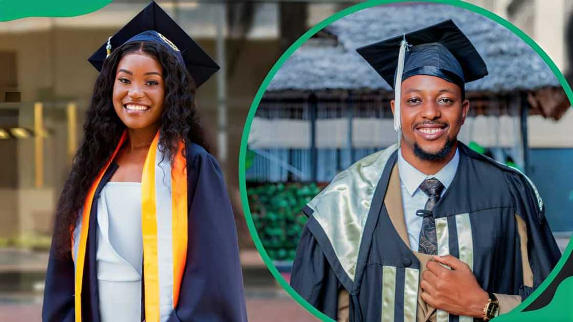 TUT courses available for 2024-2025: complete list with faculties ...