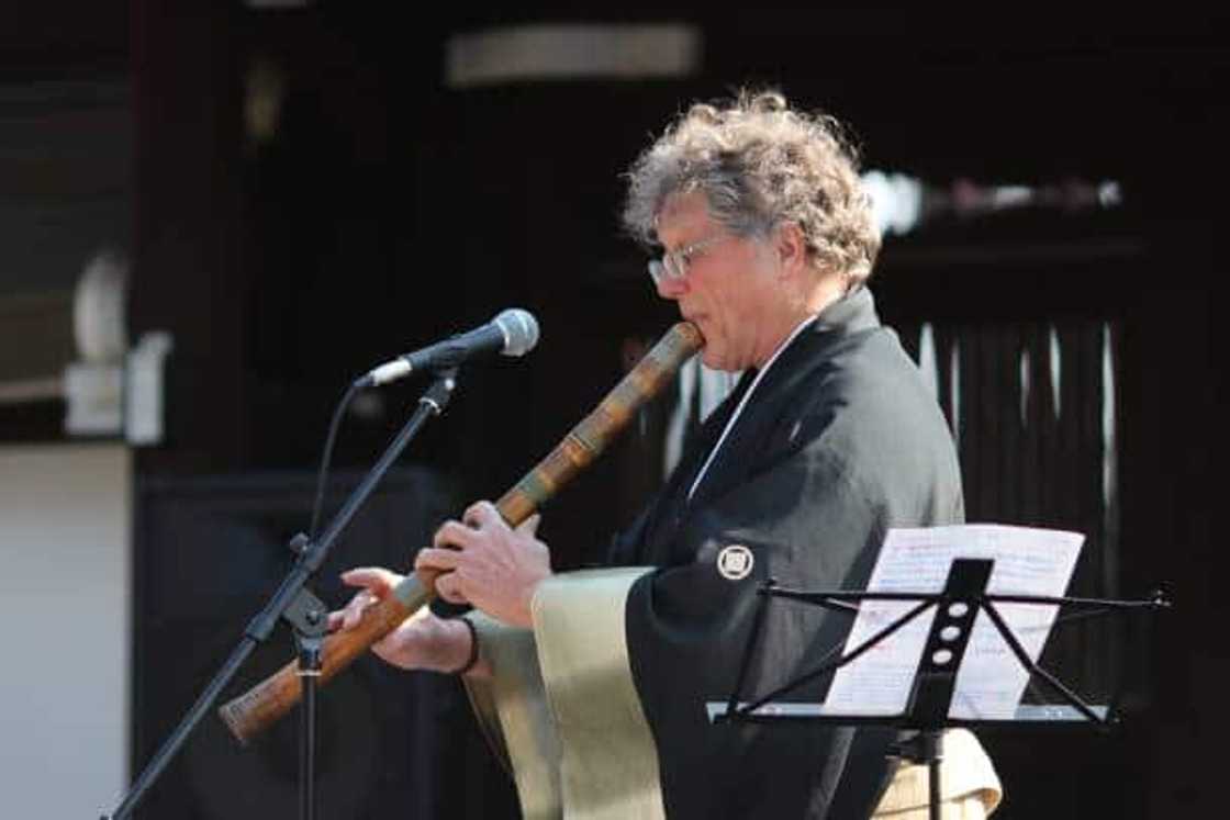 plucked japanese instrument