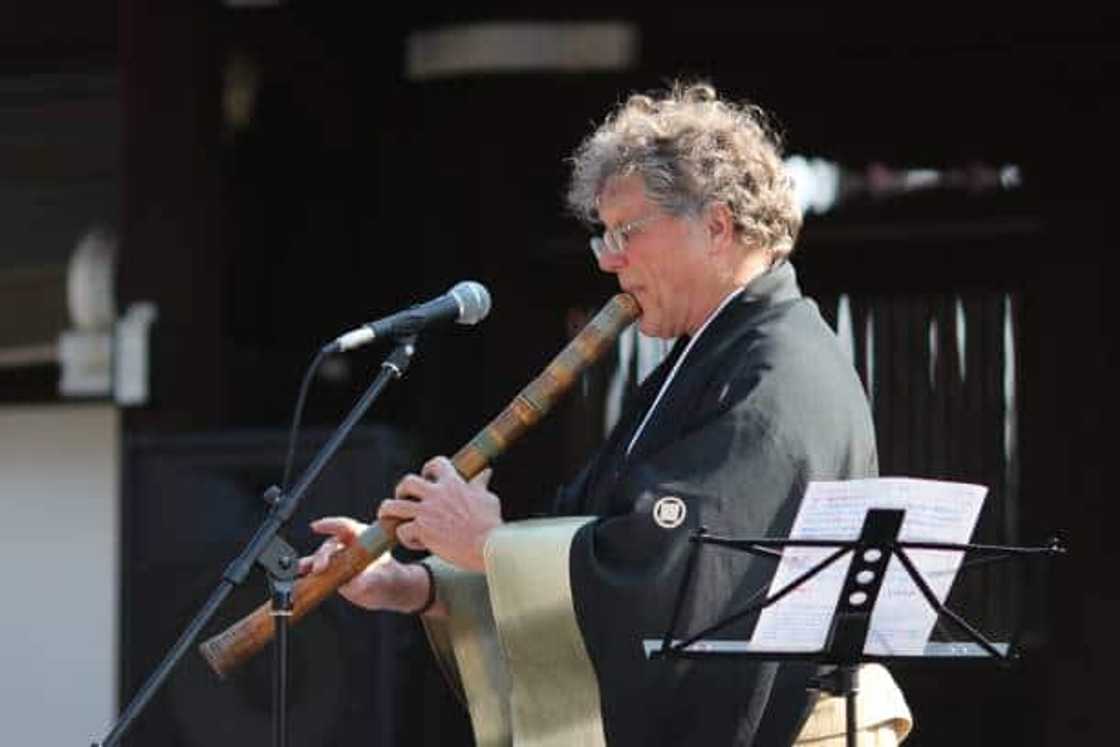 plucked japanese instrument plucked japanese instrument