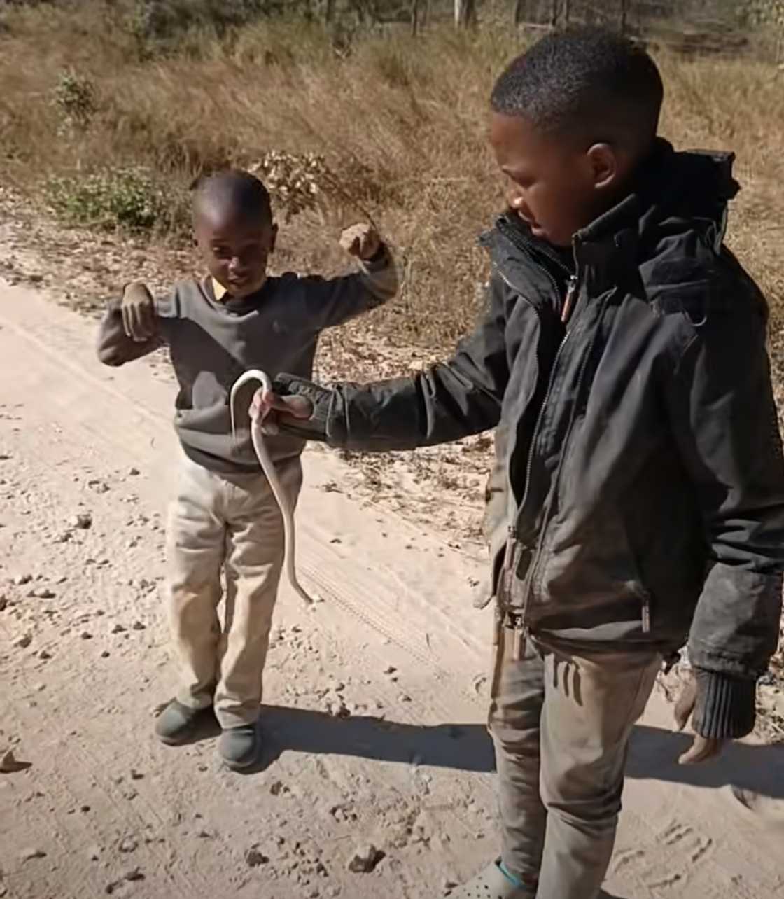 Little kids played with a snake somewhere in South Africa Little kids played with a snake somewhere in South Africa