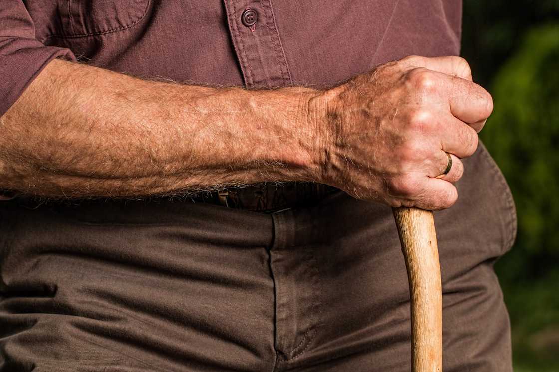 Close-up of an elderly man’s hand gripping a wooden walking cane. Close-up of an elderly man’s hand gripping a wooden walking cane.