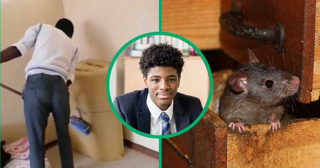 TikTok video shows matriculant scared of rat