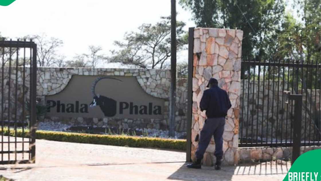 Phala Phala Phala Phala