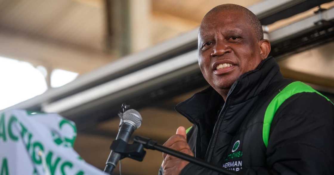 Herman Mashaba, ActionSA, Black like me, ANC Herman Mashaba, ActionSA, Black like me, ANC