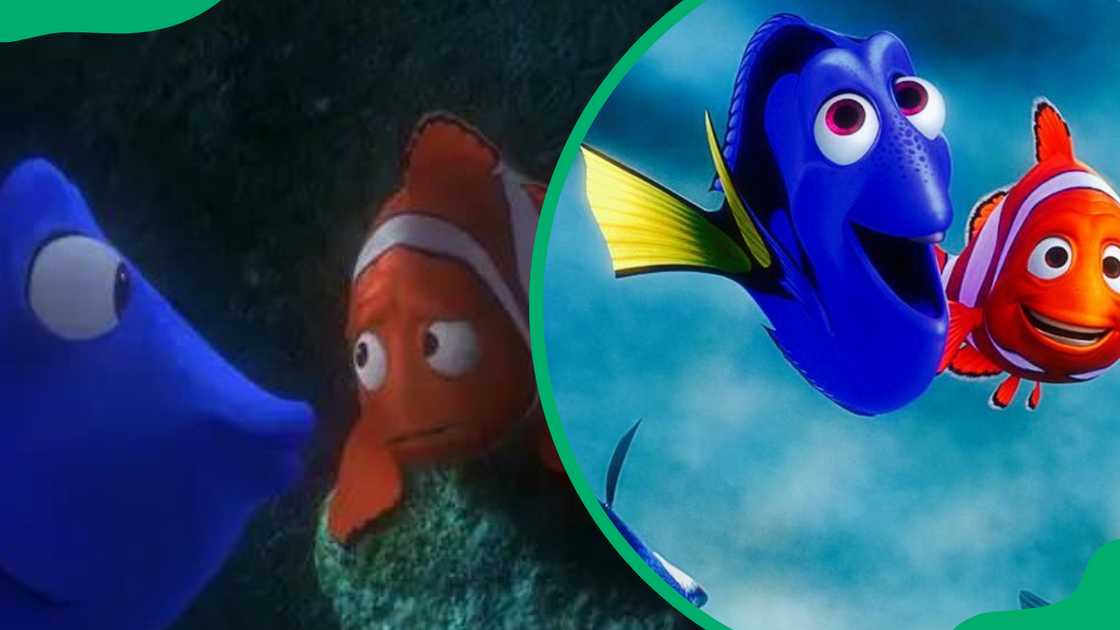 Marlin and Dory Marlin and Dory