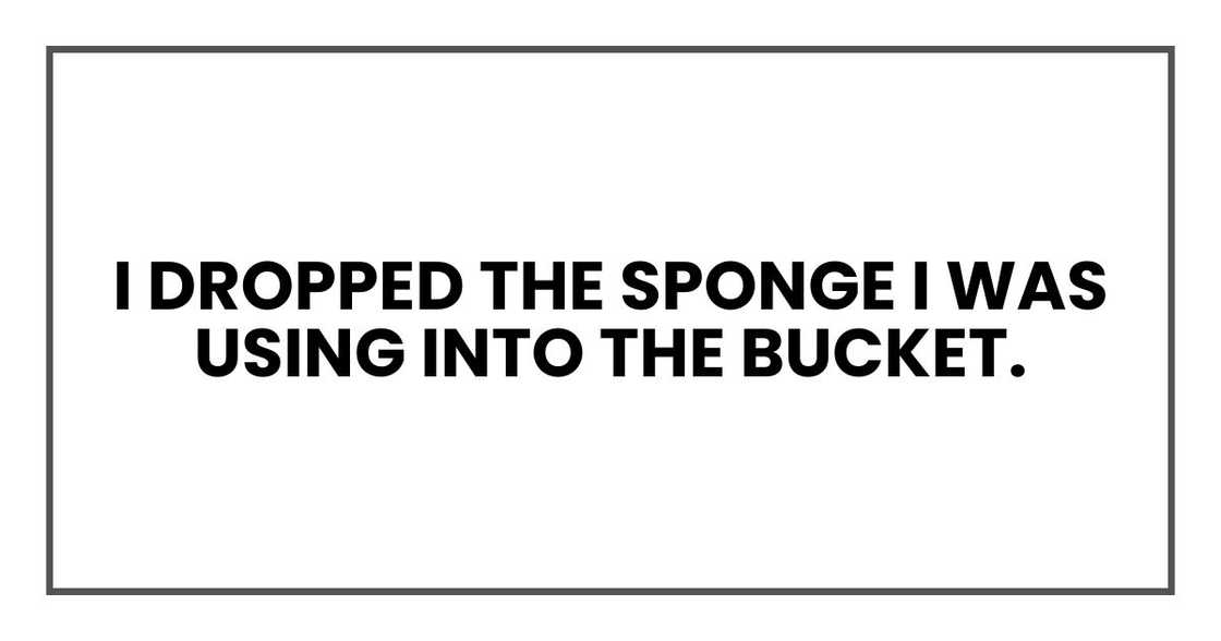 I dropped the sponge I was using into the bucket. I dropped the sponge I was using into the bucket.