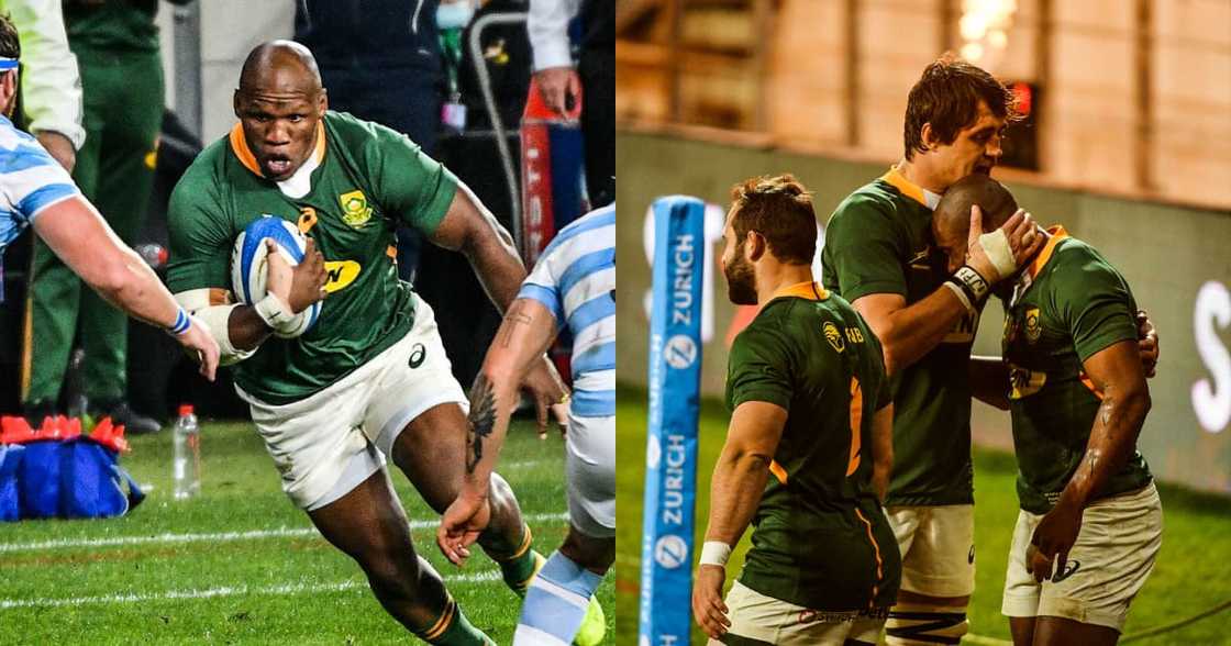 Springboks, maintain global domination, demolishing, Argentina, rugby, sport