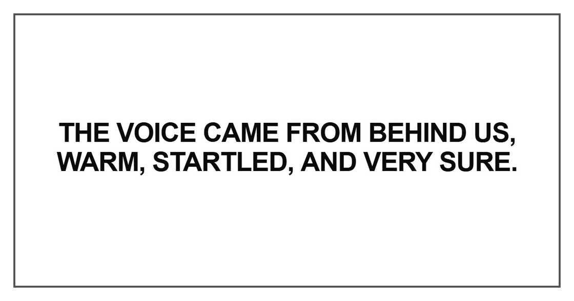 The voice came from behind us The voice came from behind us