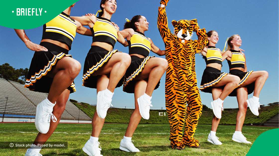Some commenters say South Africa's mascot go over and above for their audiences. Some commenters say South Africa's mascot go over and above for their audiences.