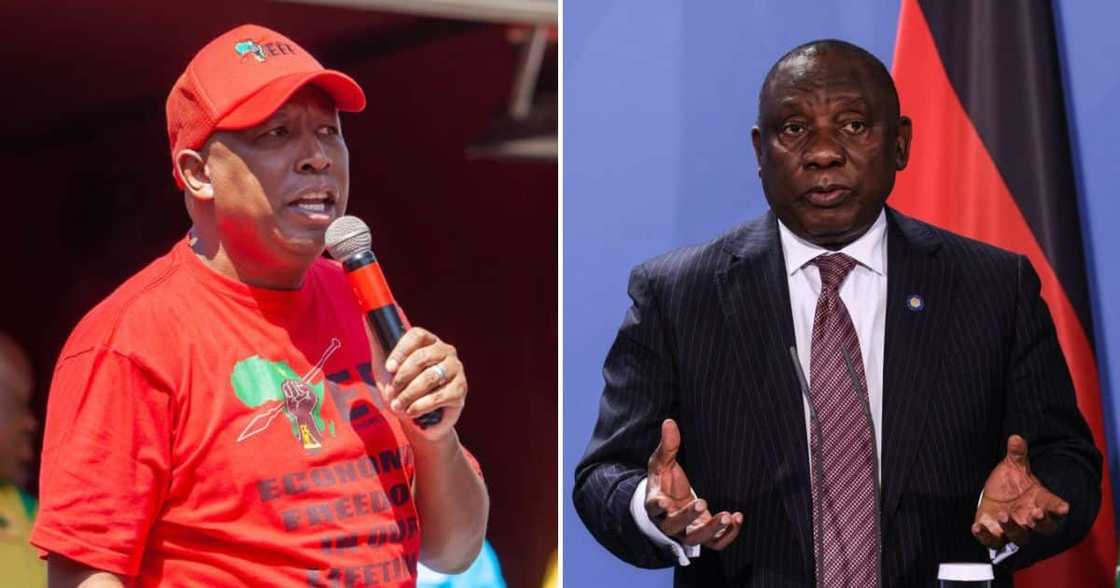 Julius Malema and Cyril Ramaphosa