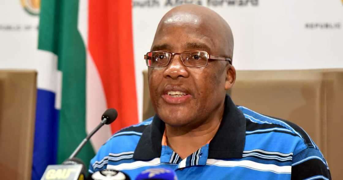 Home Affairs, clamping down, illegal immigrants, Aaron Motsoaledi, Beitbridge Border Post, Musina, Limpopo