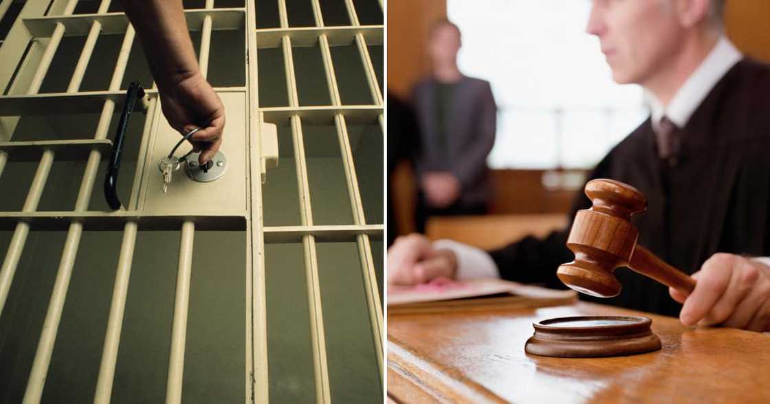 Three brother from KZN handed life sentences for killing a man and setting a pack of dogs on party guests Three brother from KZN handed life sentences for killing a man and setting a pack of dogs on party guests