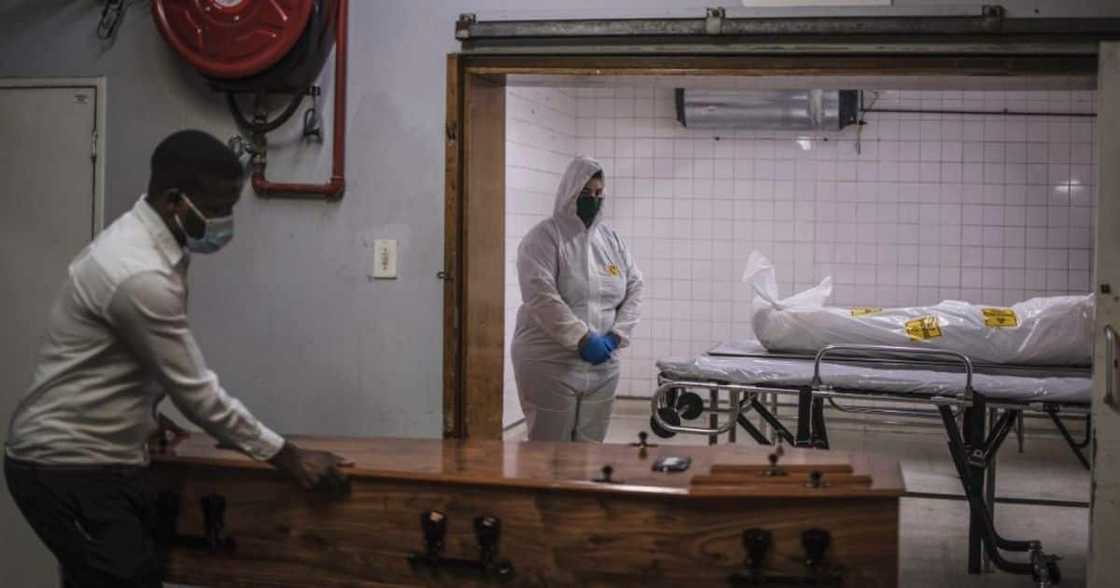 Covid-19, coronavirus, Omicron variant, Covid-related death, death toll, statistics Covid-19, coronavirus, Omicron variant, Covid-related death, death toll, statistics