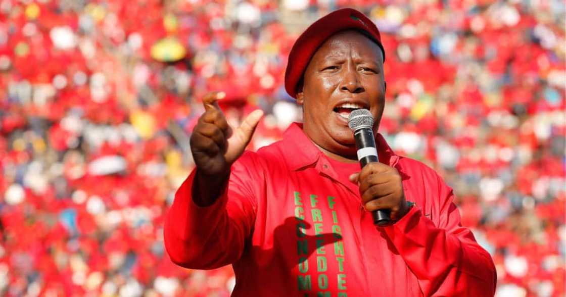 EFF, Economic Freedom Fighters, Leader, Commander in chief, Julius Malema, Disband, Dissolve, Limpopo, Provincial command team, Mbuyiseni Ndlozi, Central command team, CCT, Boksburg, Johannesburg, Eastrand