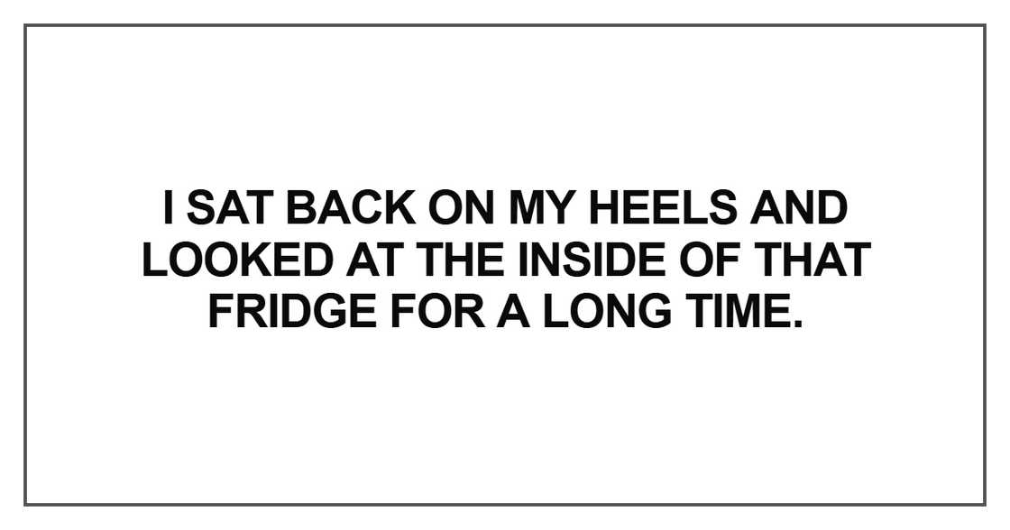 I sat back on my heels and looked at the inside of that fridge I sat back on my heels and looked at the inside of that fridge
