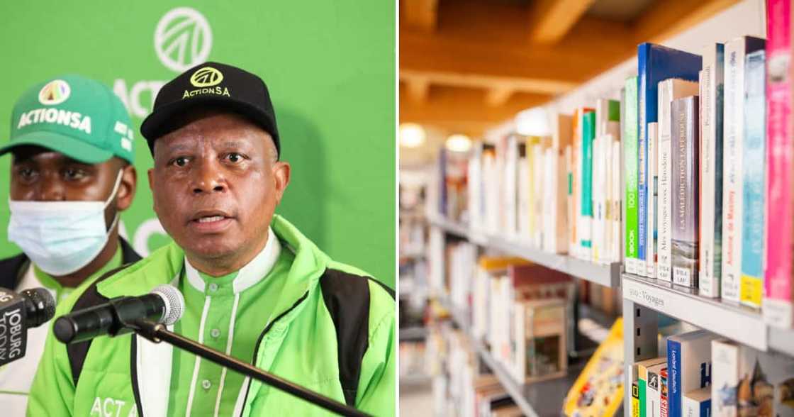 Johnathan Ball Publishers decided to Pull Herman Mashaba's biography from the market Johnathan Ball Publishers decided to Pull Herman Mashaba's biography from the market