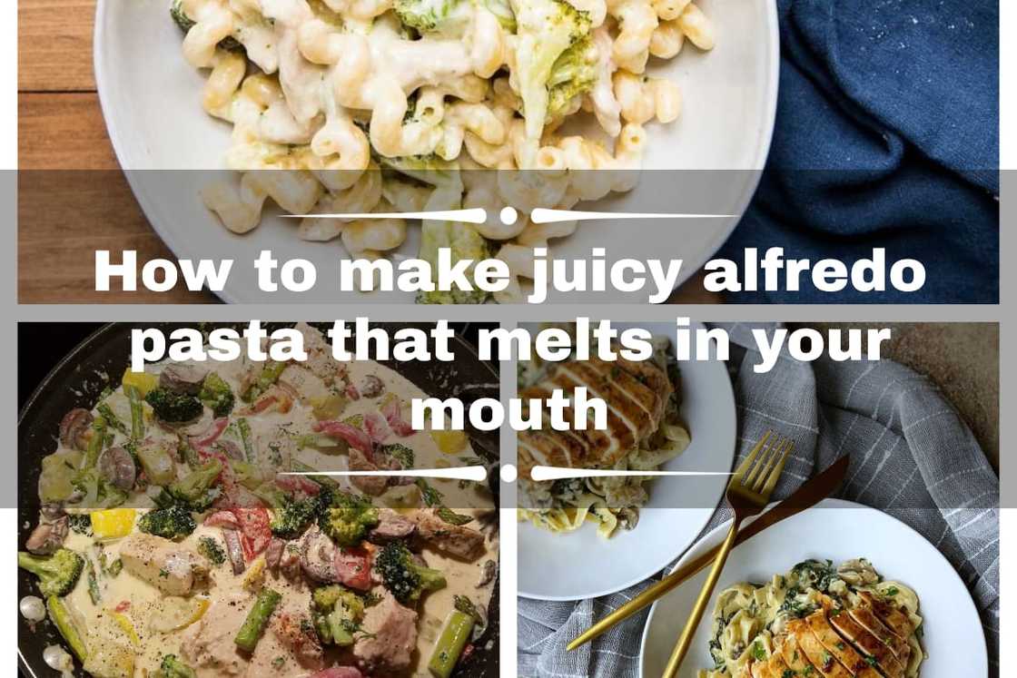 Easy Alfredo pasta recipe Easy Alfredo pasta recipe