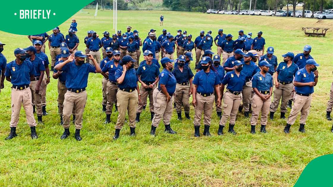 Tshwane metro police impound 917 vehicles to boost economy Tshwane metro police impound 917 vehicles to boost economy