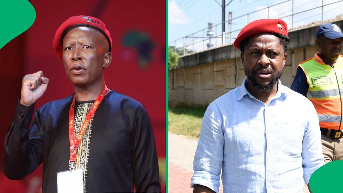 EFF leader Julius Malema and former member of Parliament Dr Mbuyiseni Ndlozi no longer talk.