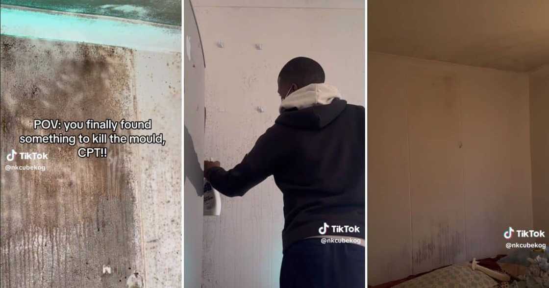 man cleaning mold on walls man cleaning mold on walls