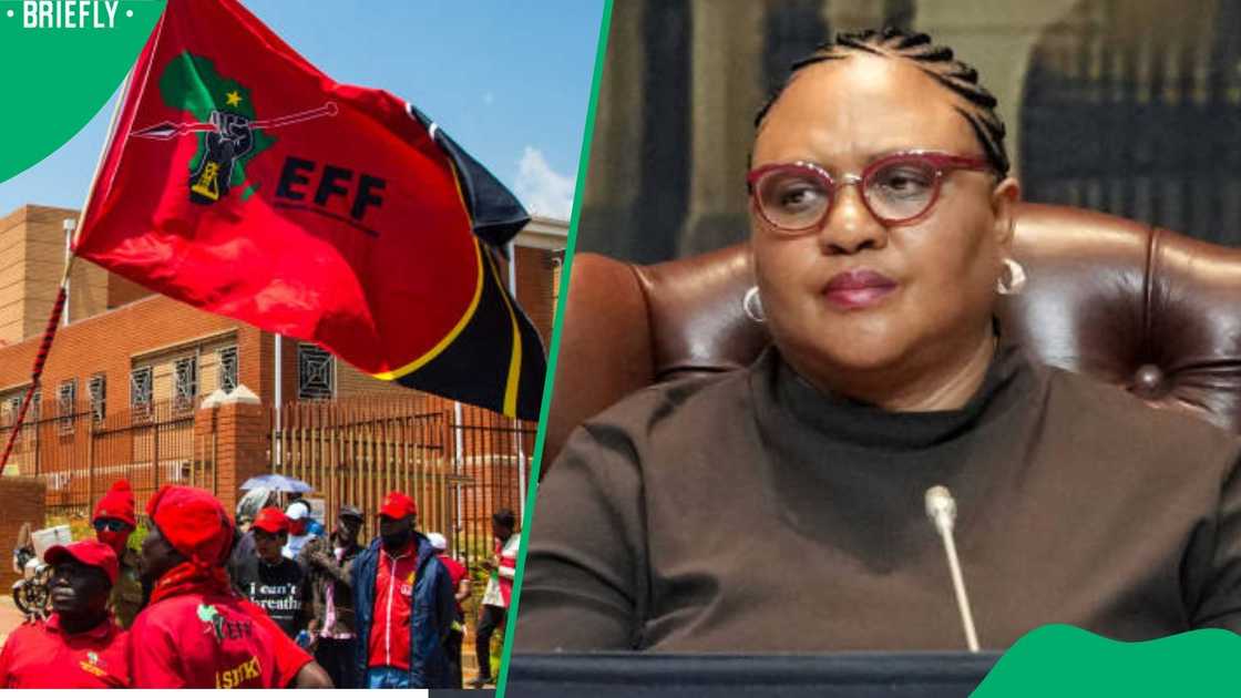 Didiza EFF