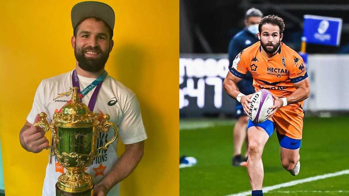 Springbok rugby players Springbok rugby players