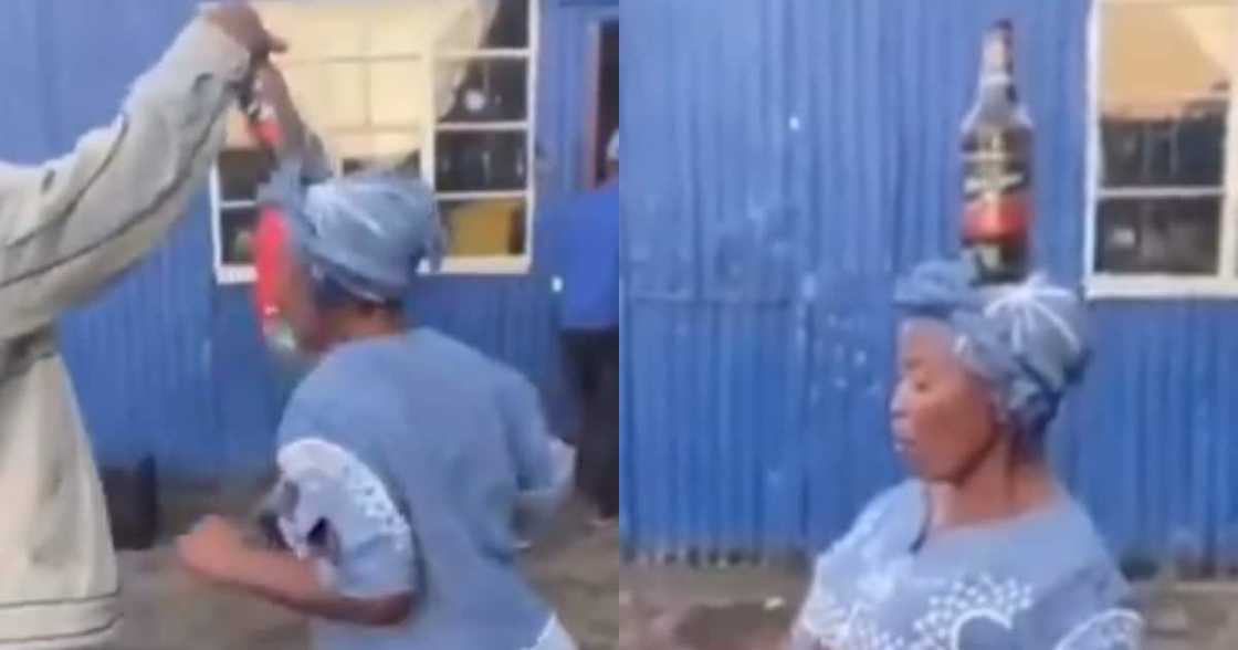 Haibo: Jealous Madala Snatches Black Label off Old Lady's Jiving Head Haibo: Jealous Madala Snatches Black Label off Old Lady's Jiving Head