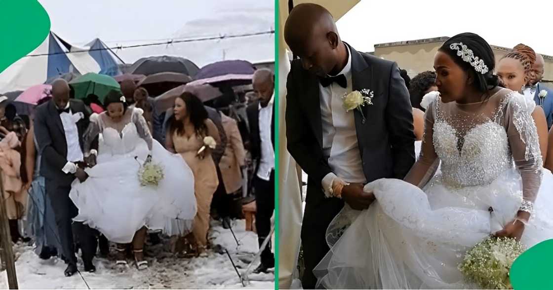 Couple got married in snowy weather Couple got married in snowy weather