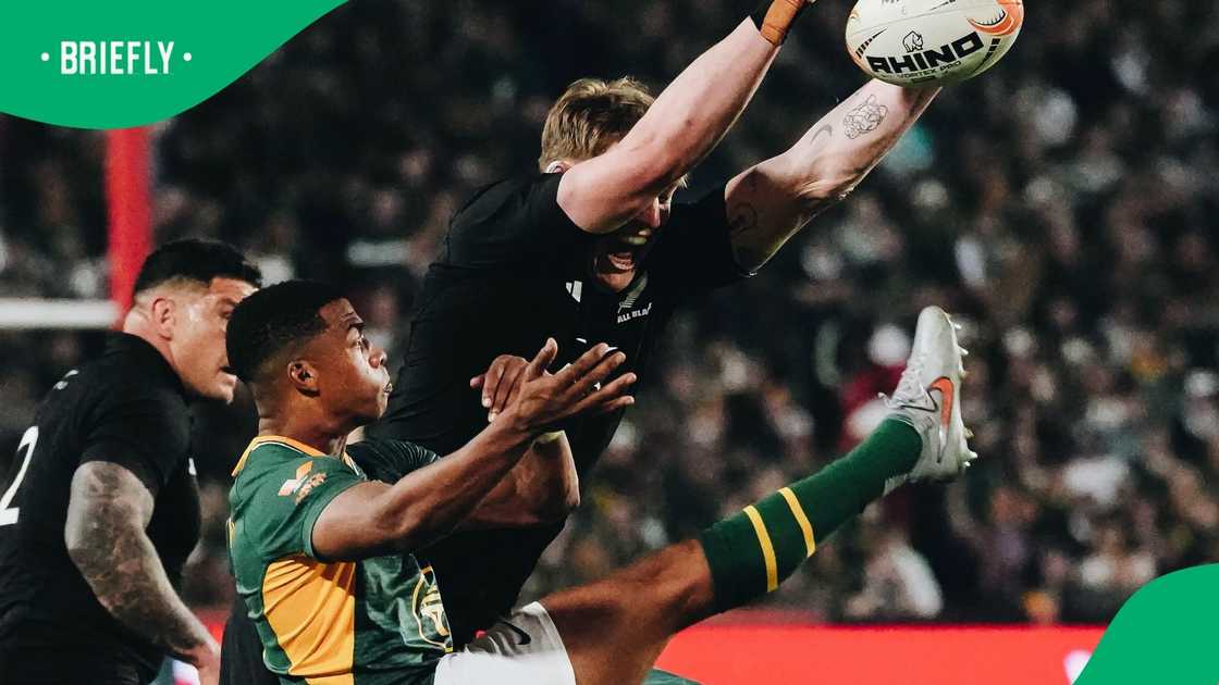 Springboks, South Africa