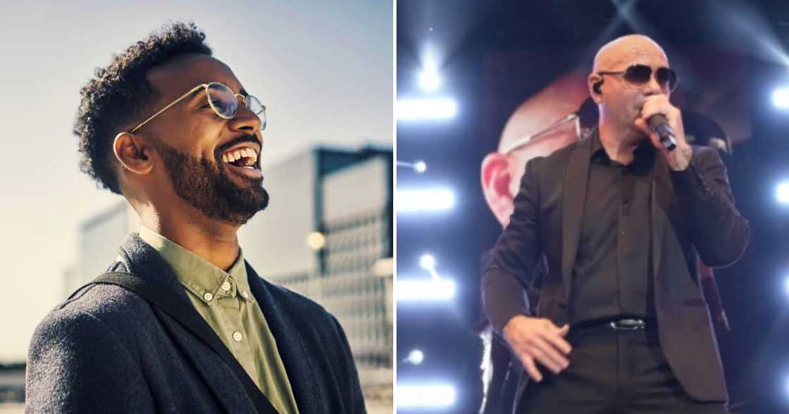 Pitbull and man laughing Pitbull and man laughing