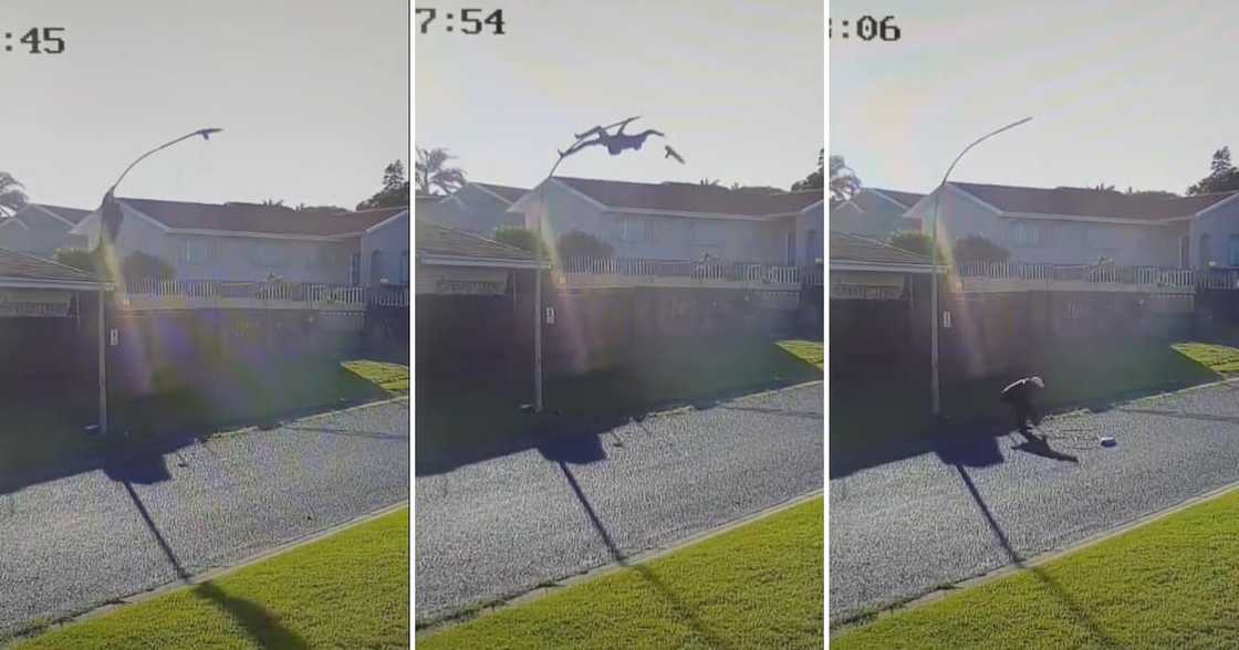 A gent stole a streetlight in a few minutes. A gent stole a streetlight in a few minutes.