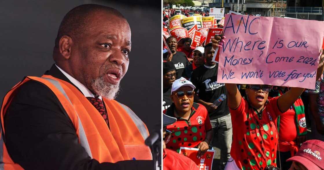 Gwede Mantashe Gwede Mantashe