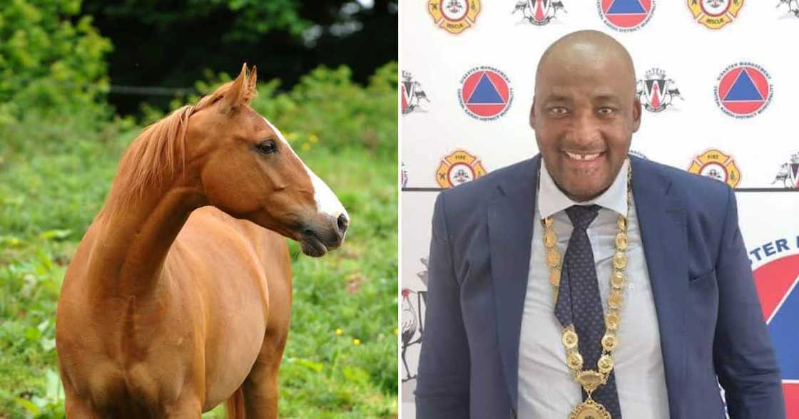 Gayton McKenzie on a horse