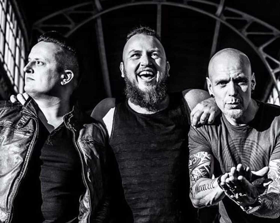 Just Jinjer Just Jinjer