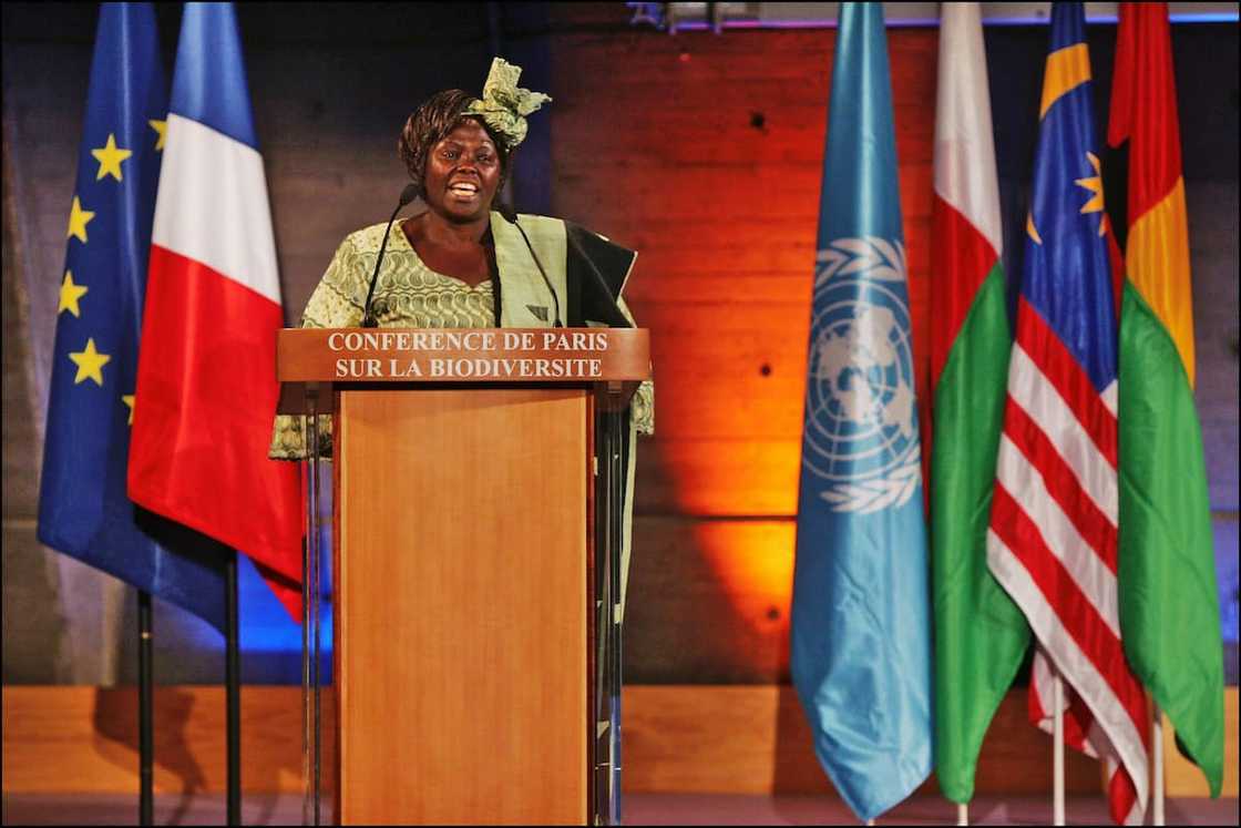great african leaders great african leaders