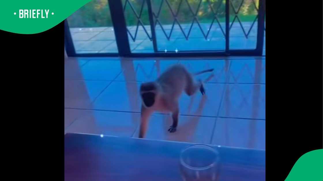 A clip went viral on Facebook.