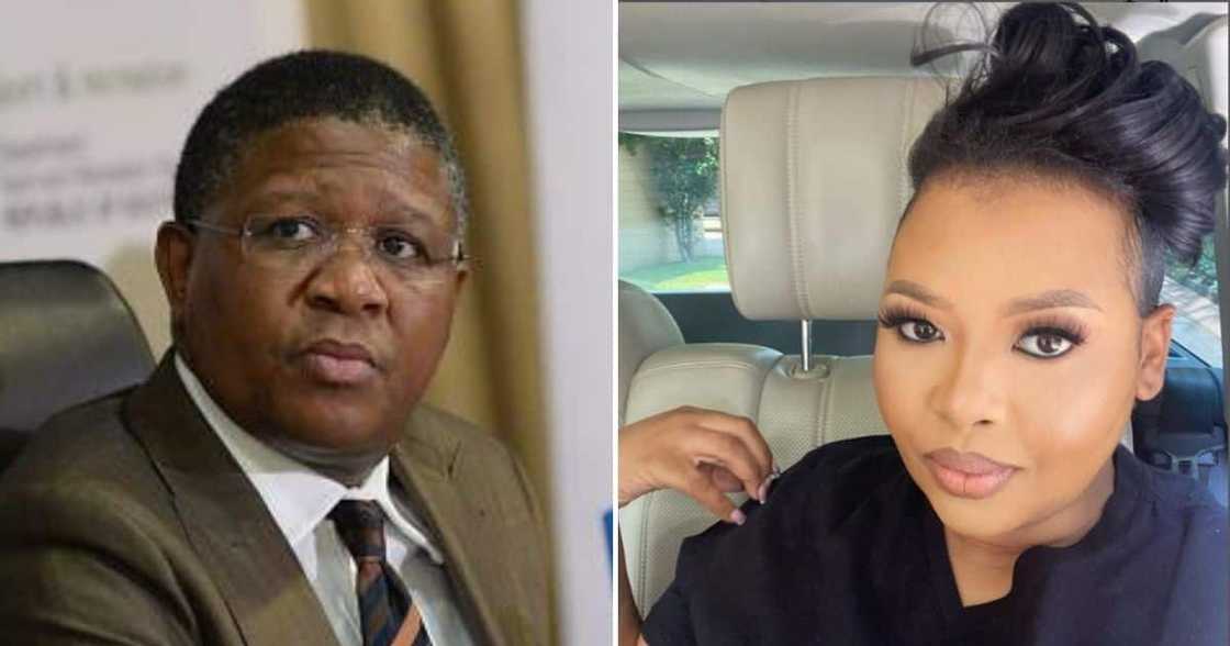 Anele Mdoda, Fikile Mbalula, Potholes, Celebrity