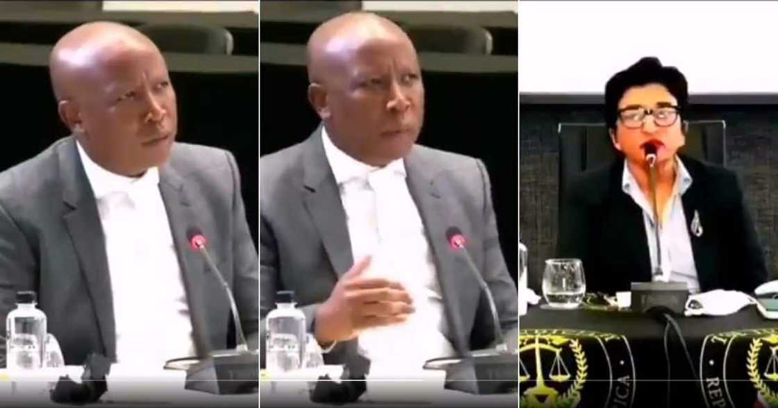 A video of EFF Leader Julius Malema roasting judge candidate Dhaya Pillay is going viral on social media. Image: Twitter A video of EFF Leader Julius Malema roasting judge candidate Dhaya Pillay is going viral on social media. Image: Twitter