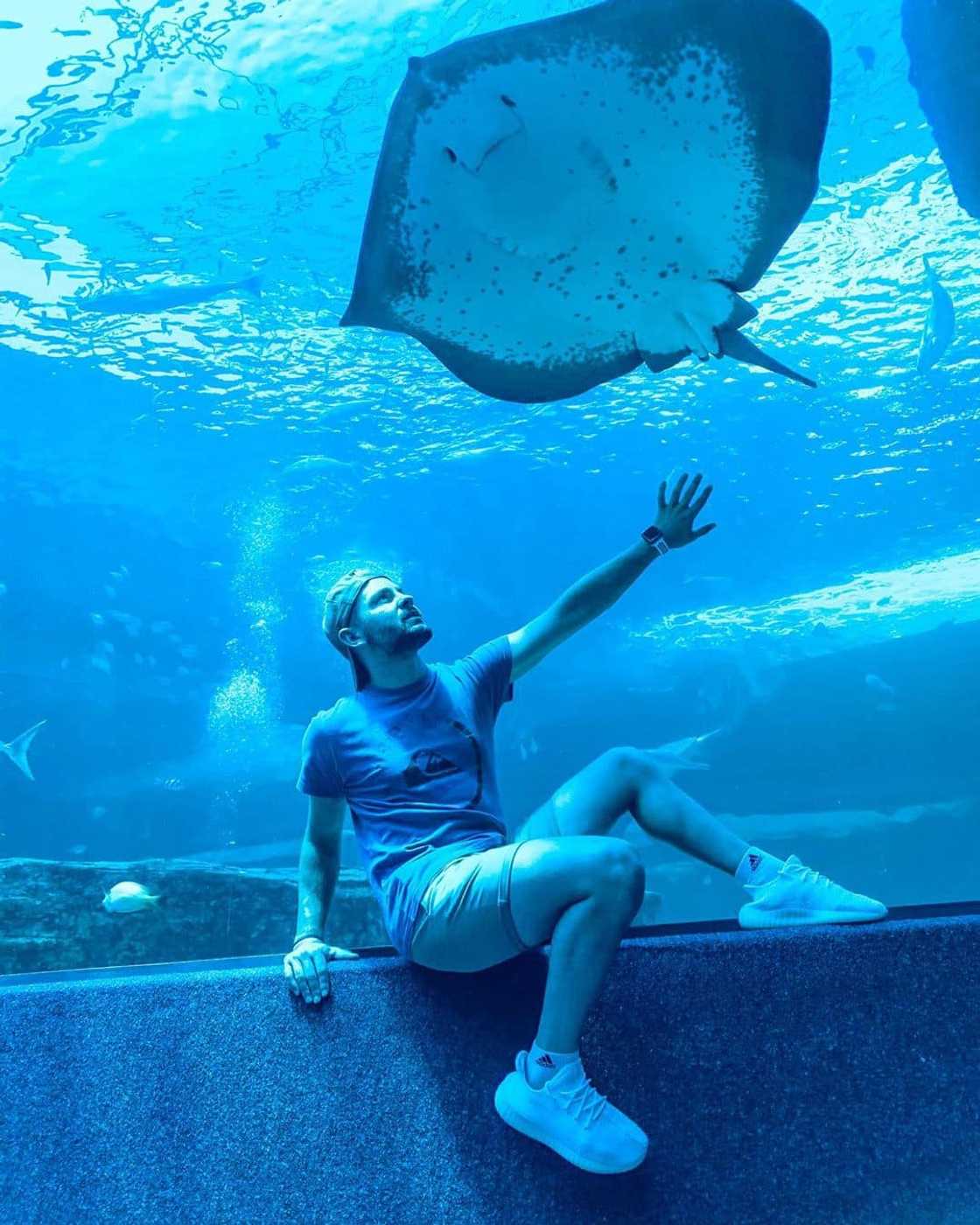 Two Oceans Aquarium Two Oceans Aquarium