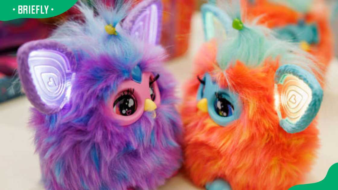 Furby toys on a table Furby toys on a table