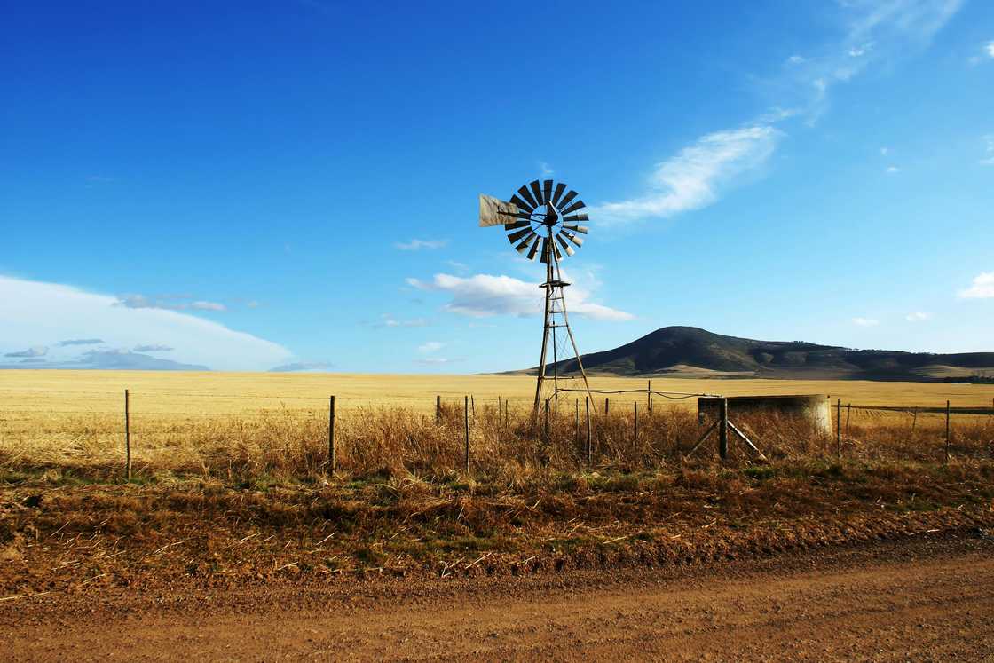 South Africans hope new farm owners will continue farming