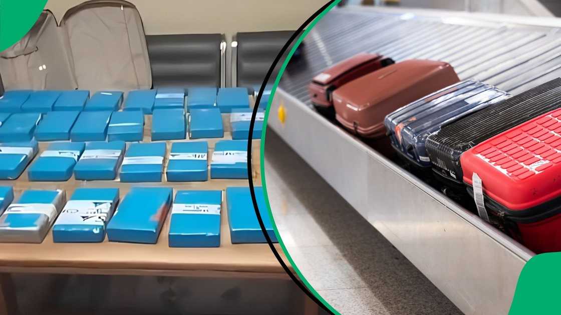 Drugs worth R25 million from Brazil found inside suitcases at OR Tambo Drugs worth R25 million from Brazil found inside suitcases at OR Tambo