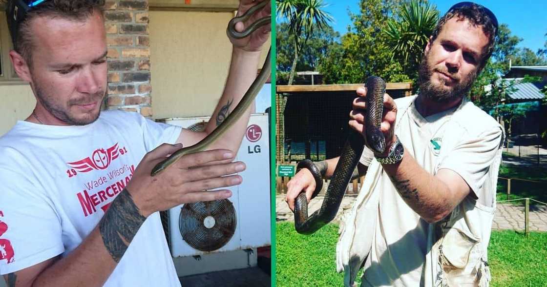 Wildlife rescuer Rico Pentz died from a snake bite Wildlife rescuer Rico Pentz died from a snake bite