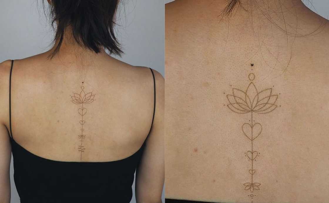 Lotus flower and love heart