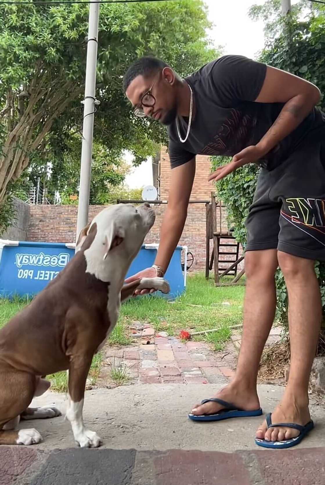 A man in Cape Town was holding his pitbull in a TikTok video. A man in Cape Town was holding his pitbull in a TikTok video.