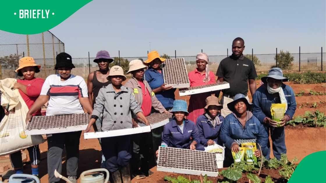 The combination of skills training, resource access, and community support paves the way for sustainable development. The combination of skills training, resource access, and community support paves the way for sustainable development.