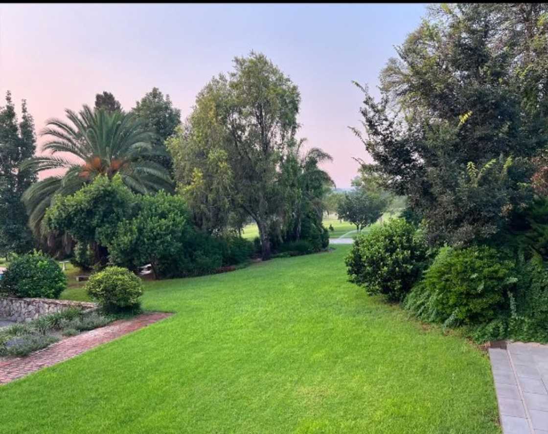 Sizwe Dhlomo's yard always looks perfect Sizwe Dhlomo's yard always looks perfect