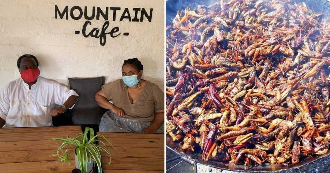 Tito Mboweni, Protein Rich Meal, Mzansi, Limpopo Tito Mboweni, Protein Rich Meal, Mzansi, Limpopo