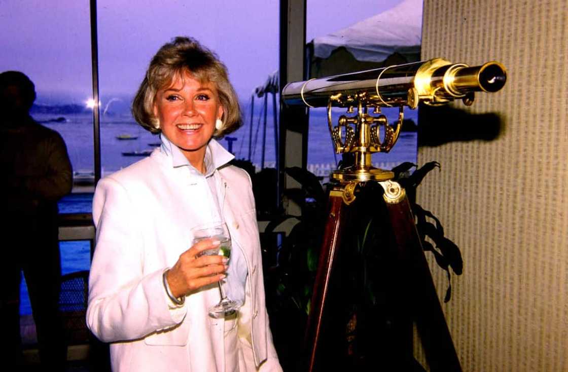 What happened with Doris Day?