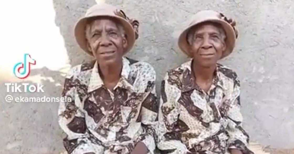 elderly twins elderly twins